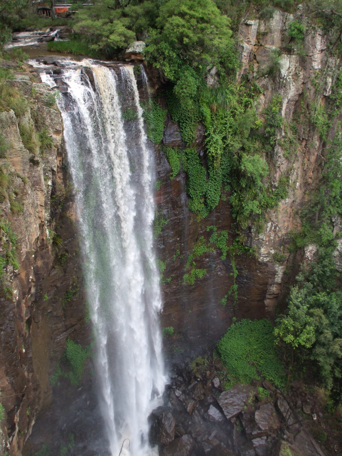 Queen Mary Falls Explore Killarney